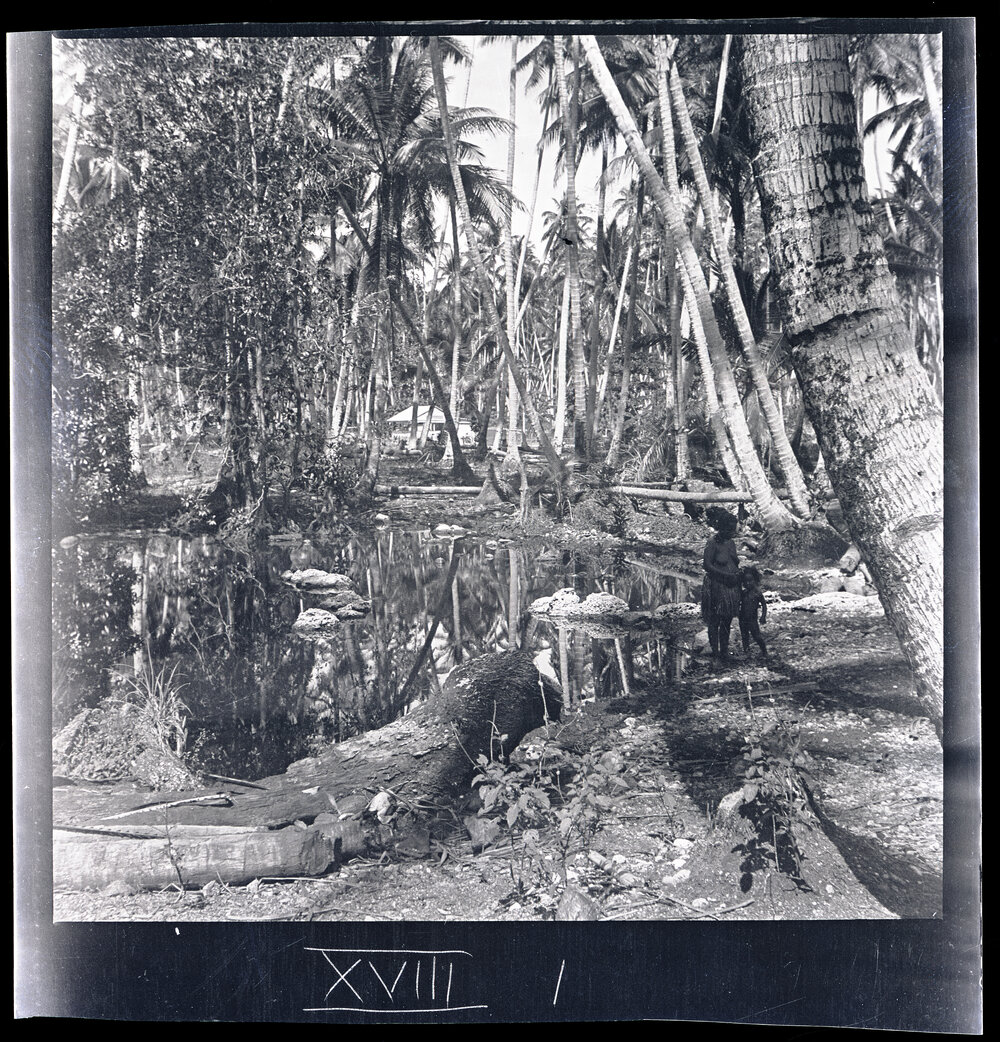 [Narau] One of the Small Lagoons at Buoda Behind Giouba&rsquo;s House