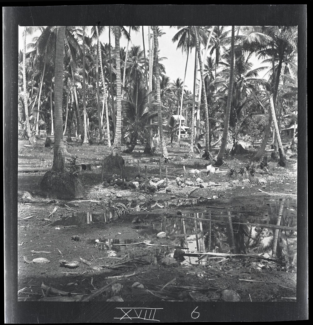 [Narau] A Well at the South End of Buoda Lagoon, Fenced Round to Keep off Pigs