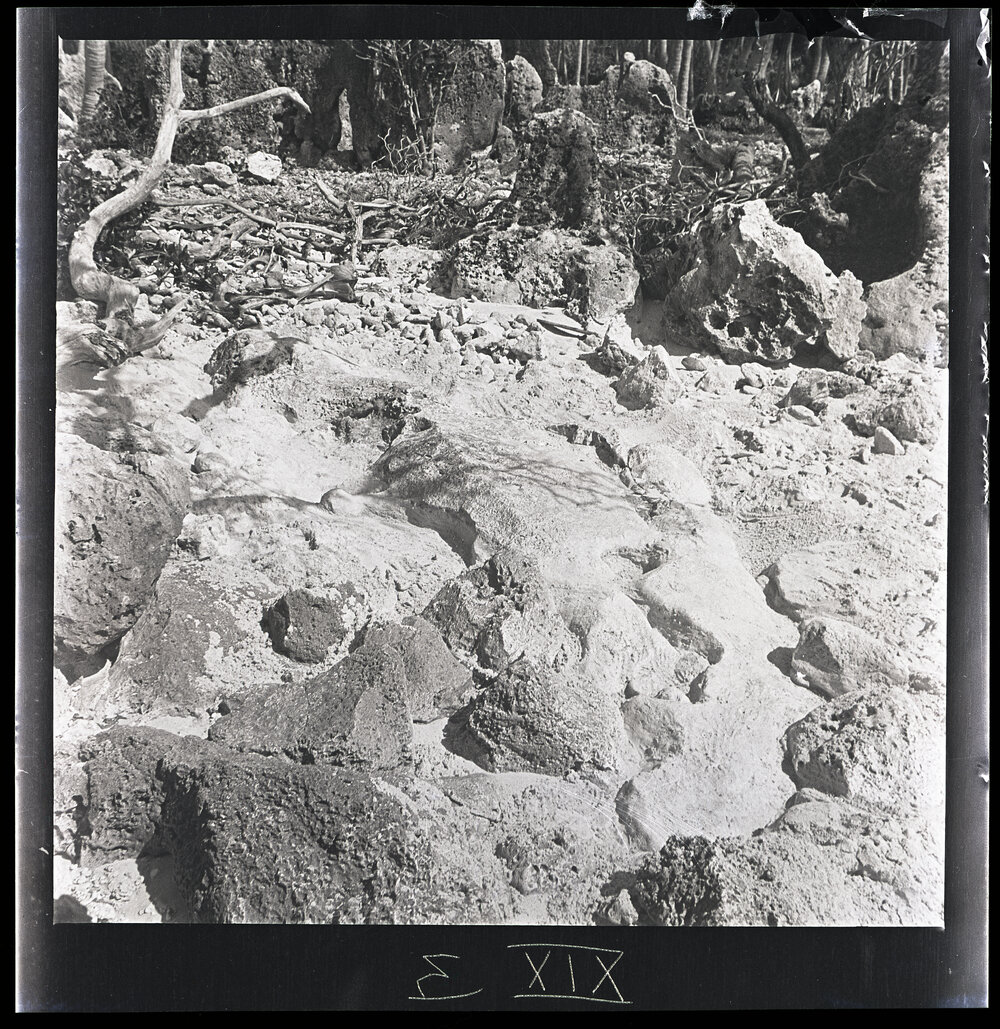 [Narau] The Stone Representation of Emenea in the Sand at the SW [Southwest] End of Anibari By [Bay]