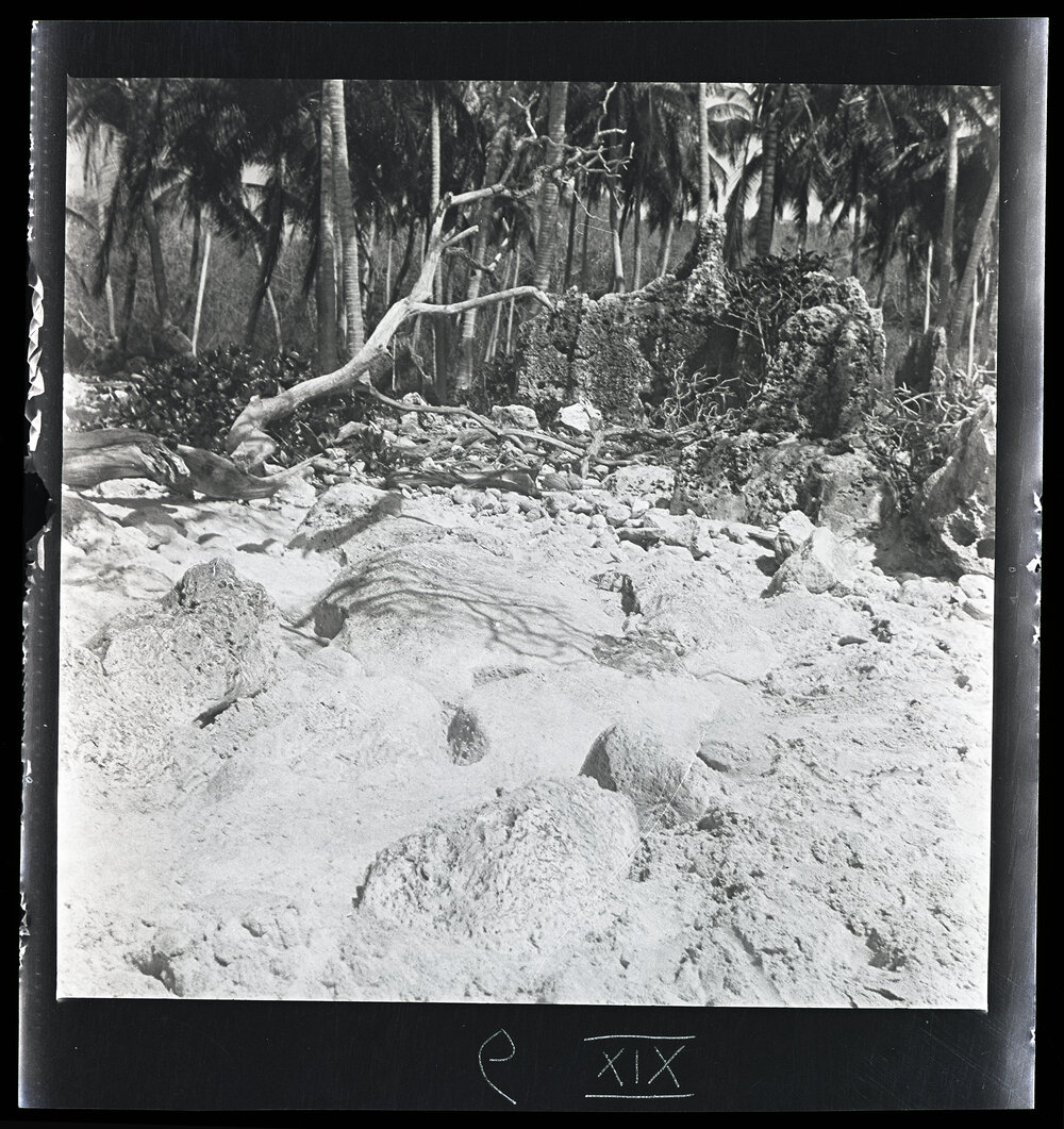 [Narau] Another View of Emenea