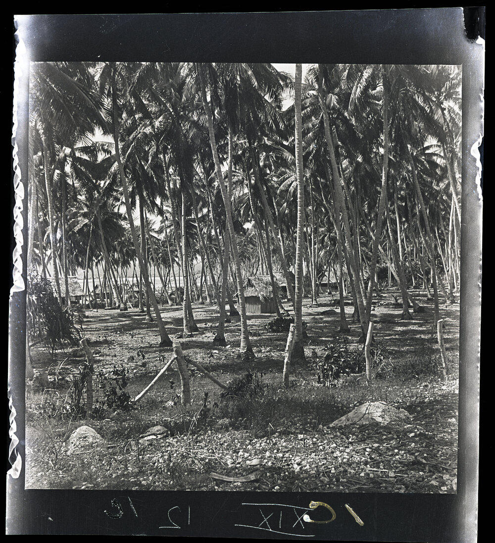 [Narau] The Leper Station