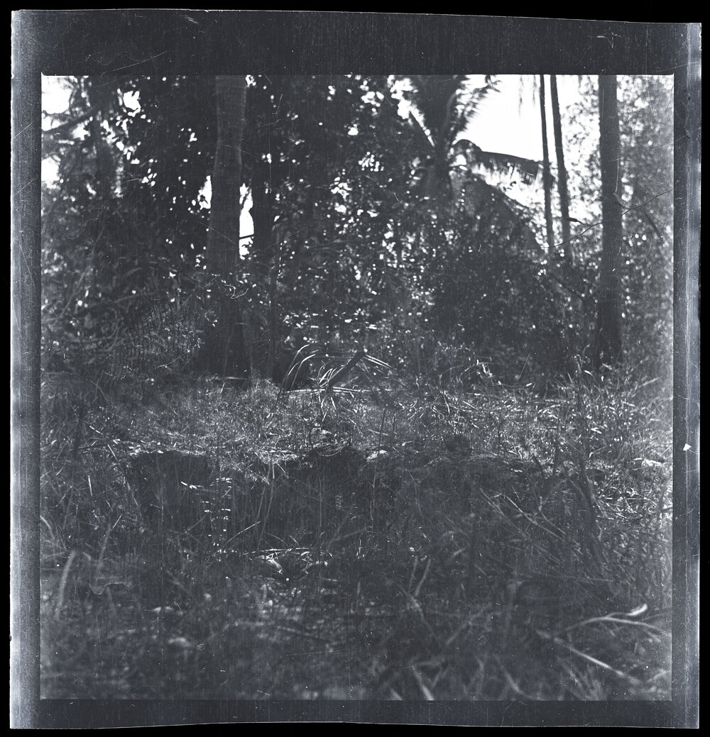 [Narau] The Grave of Araimin I