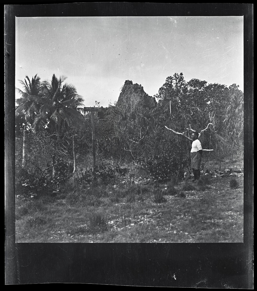 [Narau] On Bruce&rsquo;s Highway Looking South