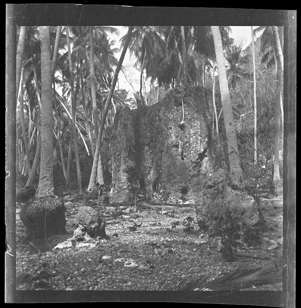 [Narau] Coral Rock Representing Eiguberian (Anibari Dist[rict])