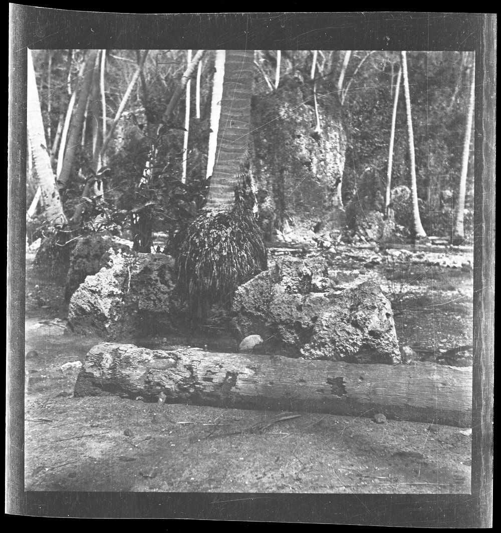 [Narau] Coral Rocks Representing the Grave of Agowenjaŋ (Anibari Dist[rict]) 