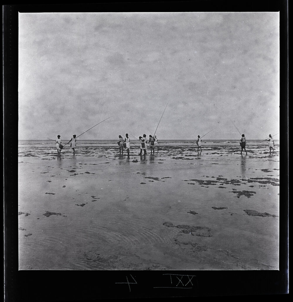 [Narau] Women Hurrying Across the Reef to Begin Fishing