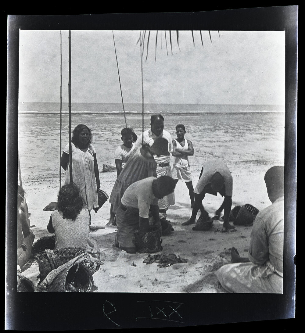 [Narau] Counting the Catch