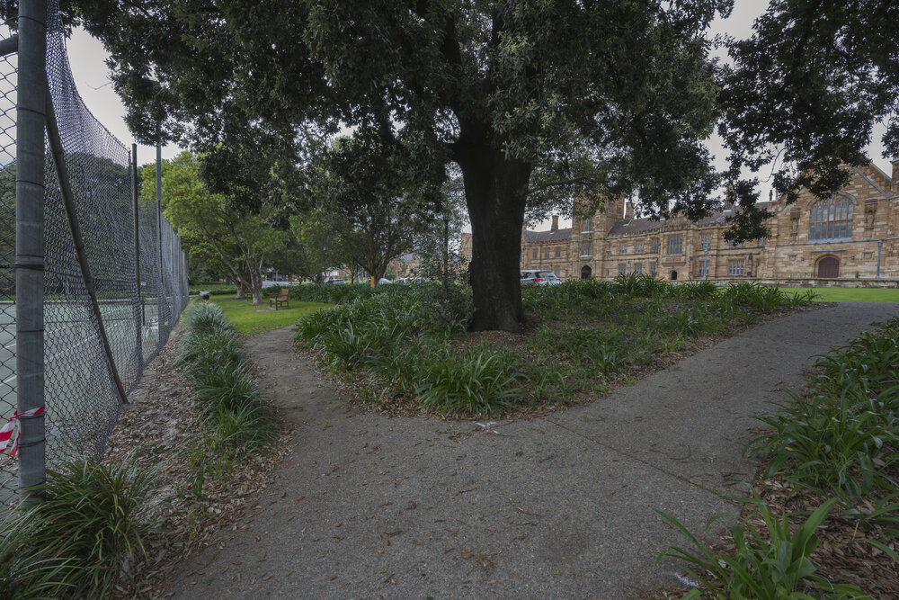 Tennis Courts on the Current Chau Chak Wing Museum Site
