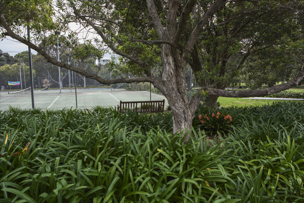 Tennis Courts on the Current Chau Chak Wing Museum Site