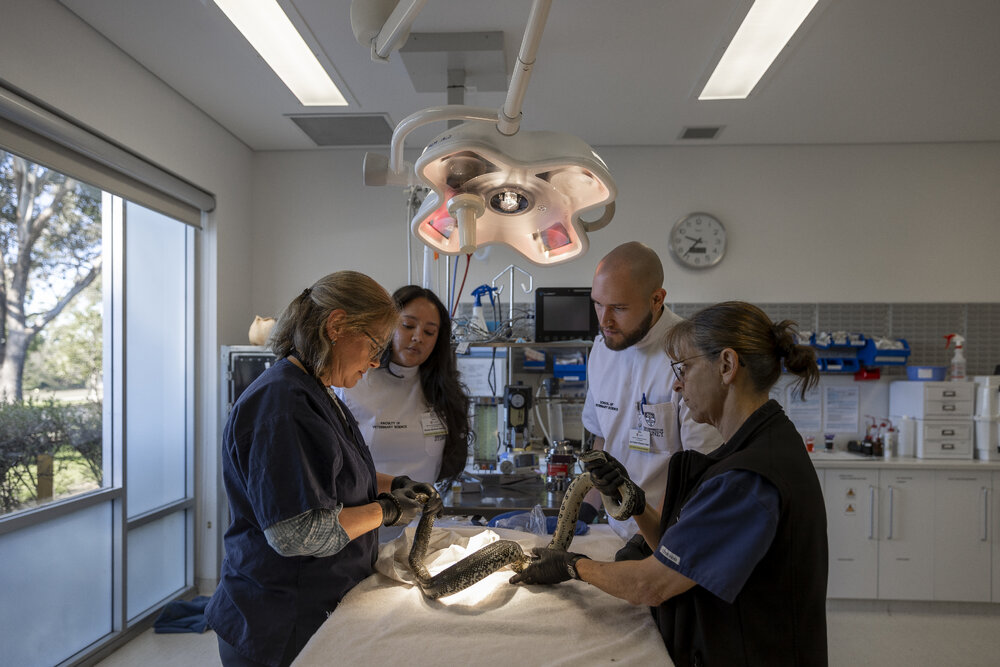 Wildlife Health and Conservation Hospital at Camden Campus