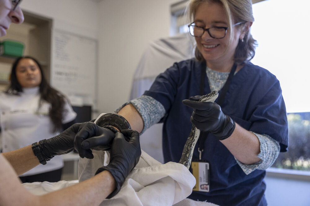 Wildlife Health and Conservation Hospital at Camden Campus