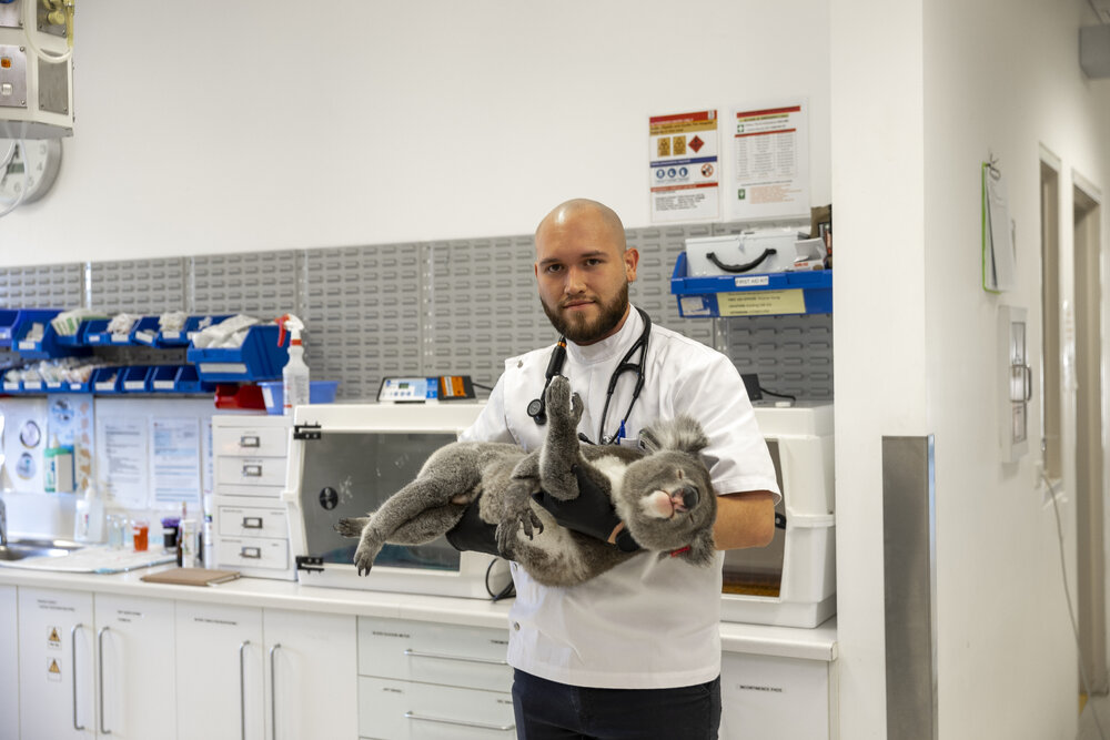 Wildlife Health and Conservation Hospital at Camden Campus