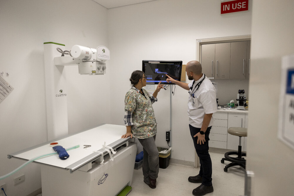 Wildlife Health and Conservation Hospital at Camden Campus