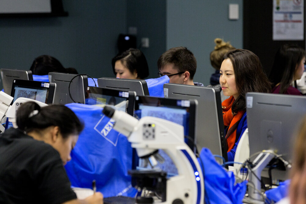 Research Lab in Charles Perkins Centre (CPC)