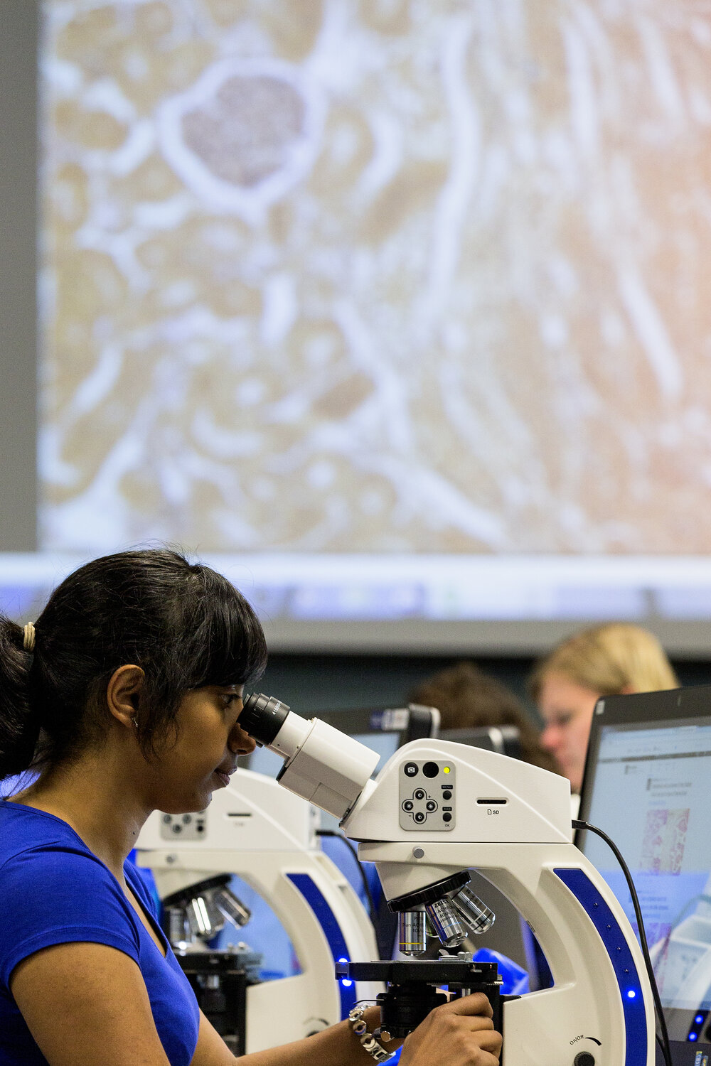 Research Lab in Charles Perkins Centre (CPC)