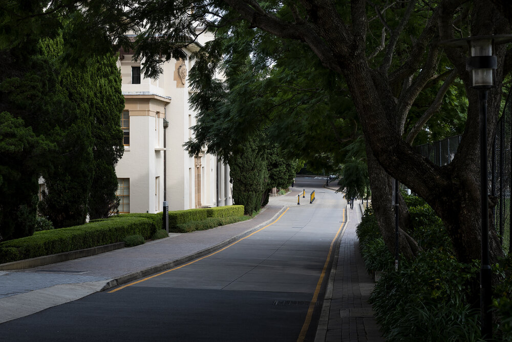 Physics Road Looking Towards Physics Building and Western Avenue