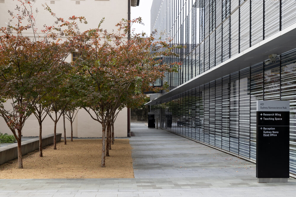 Sydney Nanoscience Hub