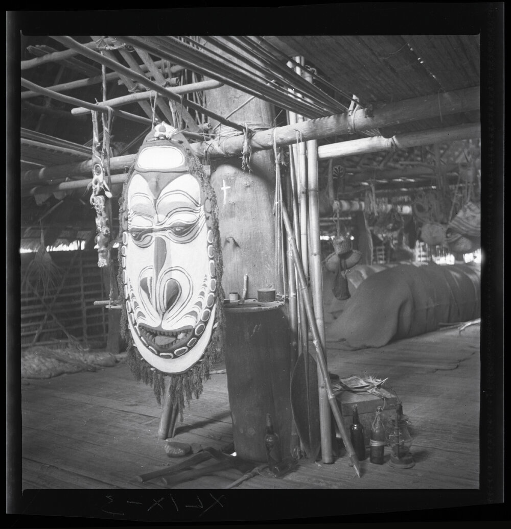 ? Shield/Mask