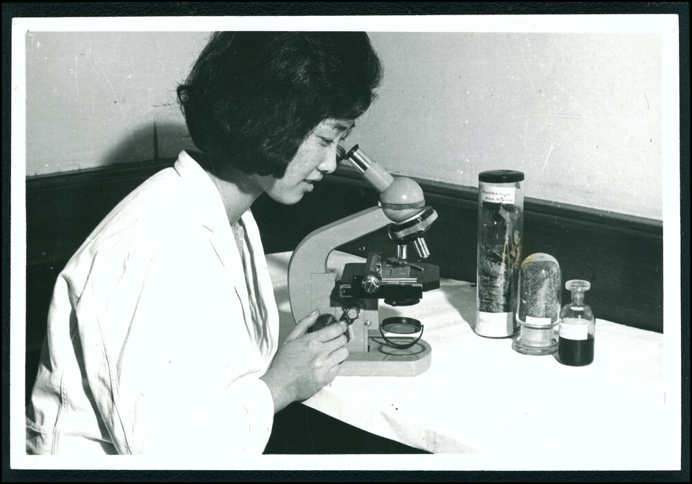 Medical Student Using Microscope