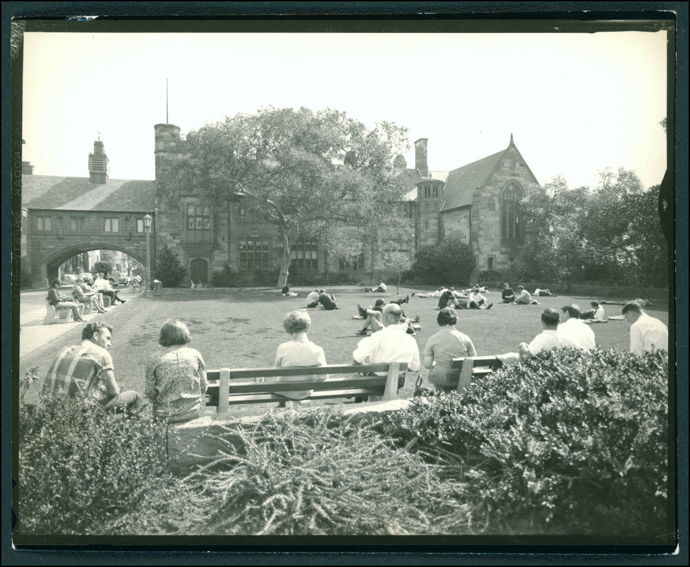 People Sitting on the Botany Lawn