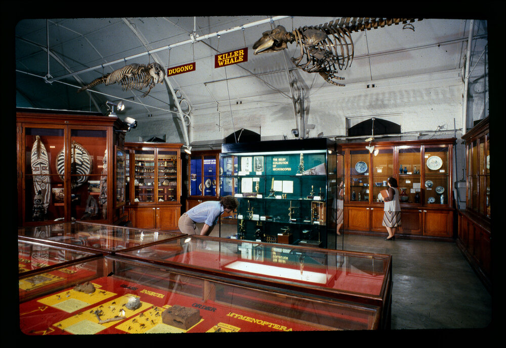 Macleay Museum