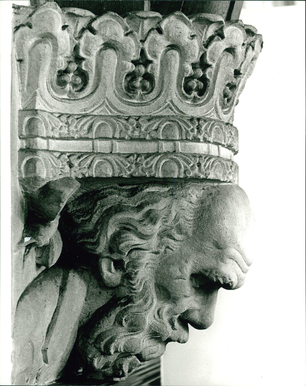Carved Portrait Head of Charles Darwin in the Professorial Board Room