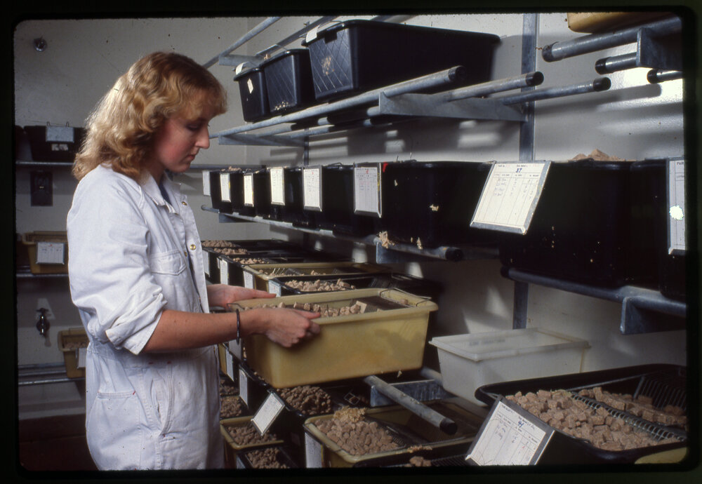 Student with Samples in Buckets