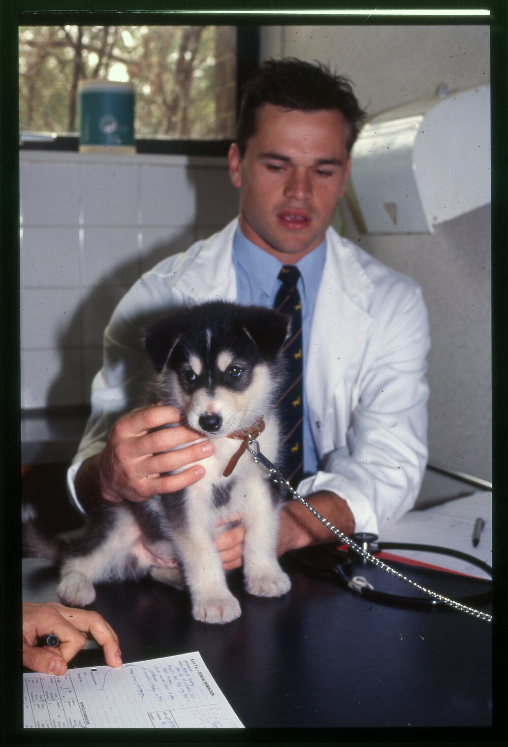 Veterinary Clinic Student with Dog