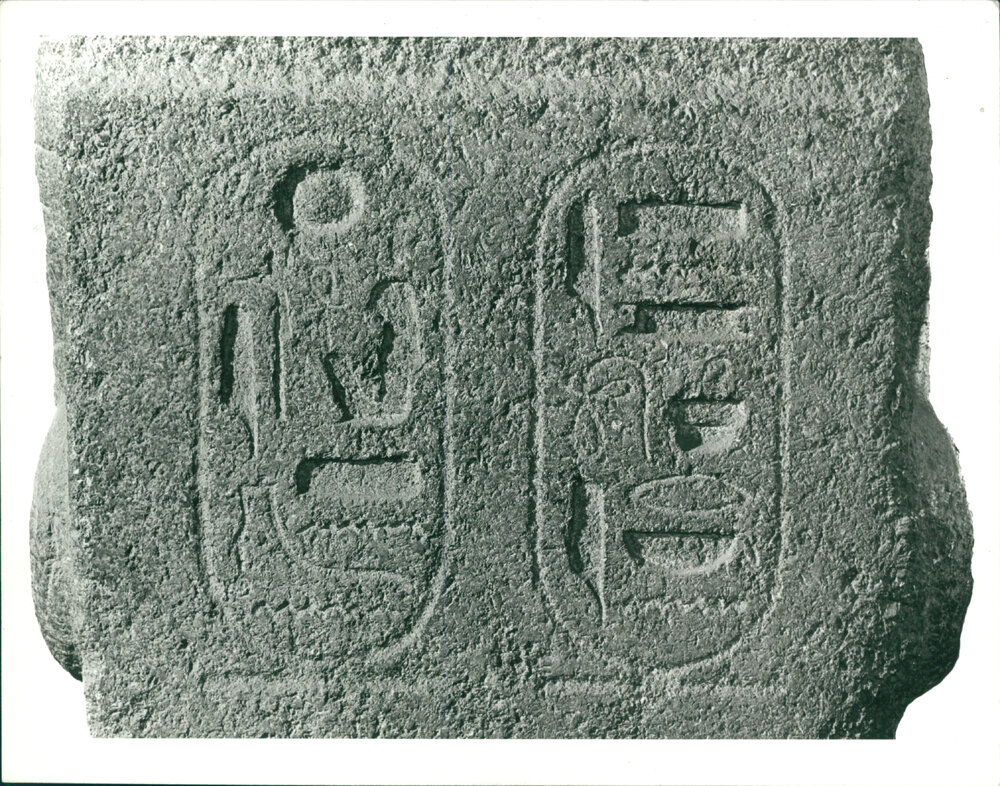 Egyptian Sculpture in the Southern Vestibule, Nicholson Museum