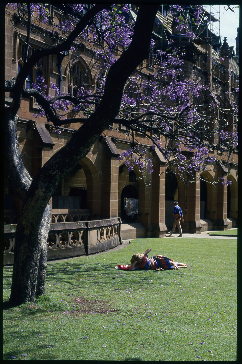 Students Relaxing in Quadrangle