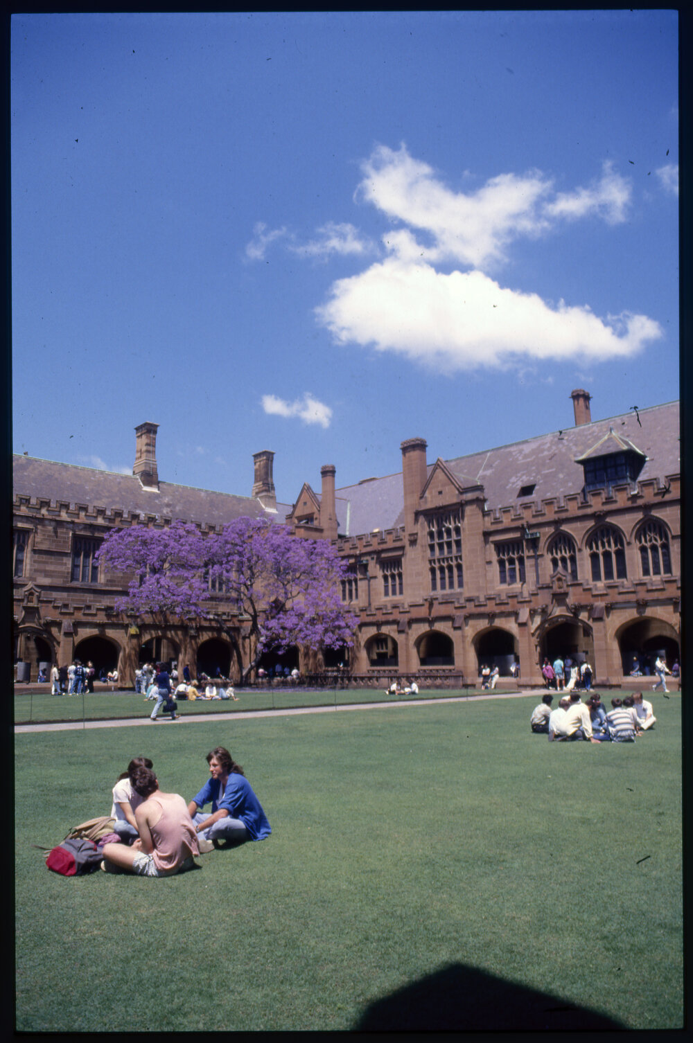 Students Relaxing in Quadrangle