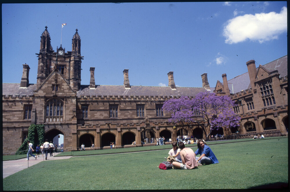 Students Relaxing in Quadrangle