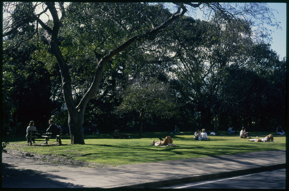 Students Relaxing on Lawn