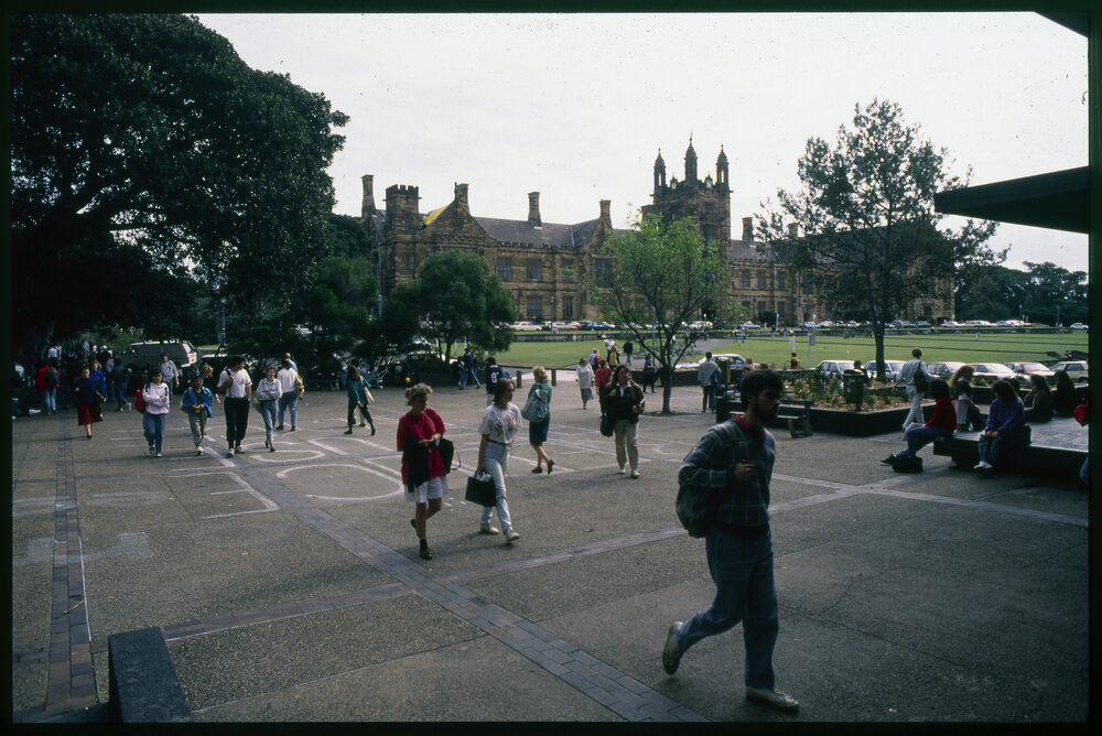 Students Between Lectures at Fisher Library