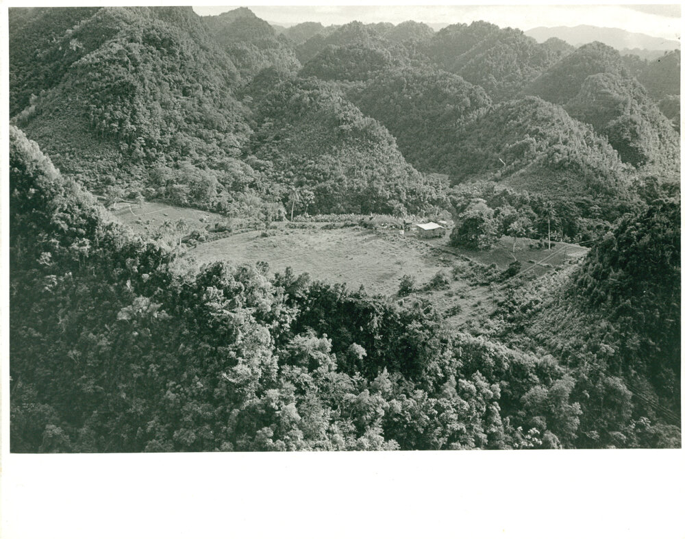 Cornell/Sydney Astronomy Centre Radio Telescope at Aracebo Puerto Rico