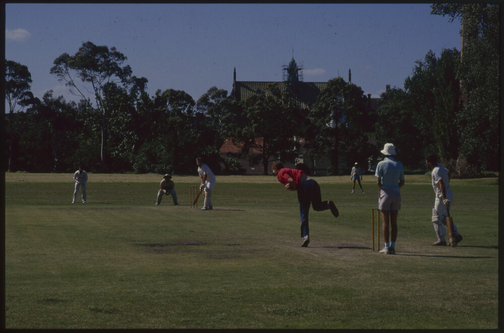 Cricket Match