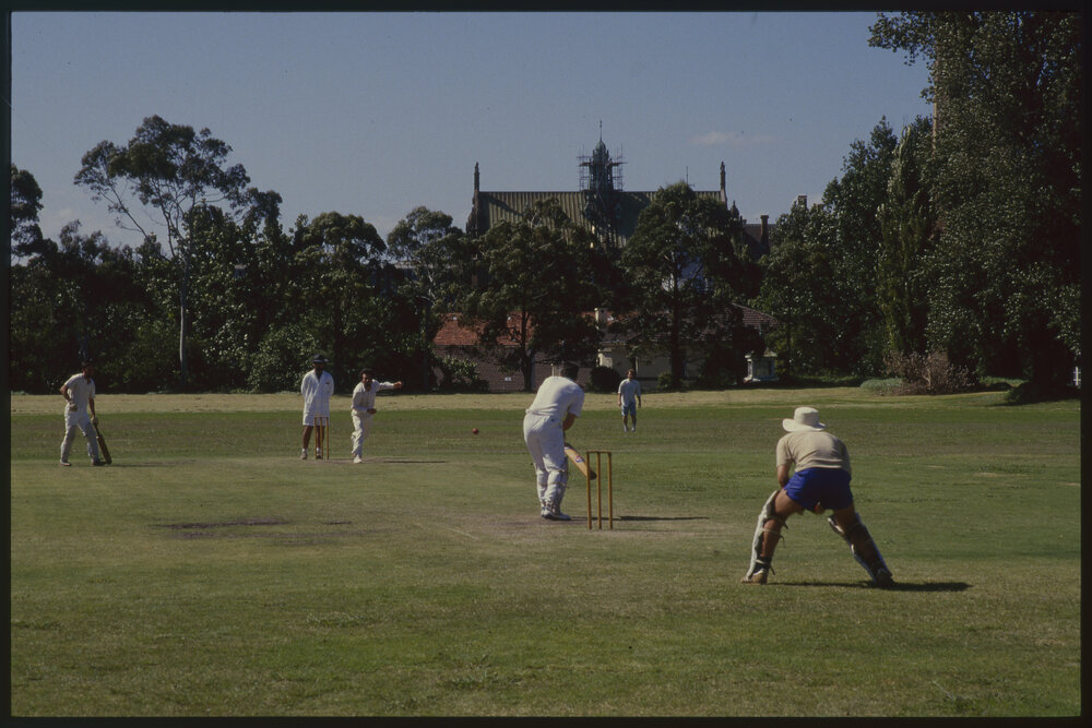 Cricket Match