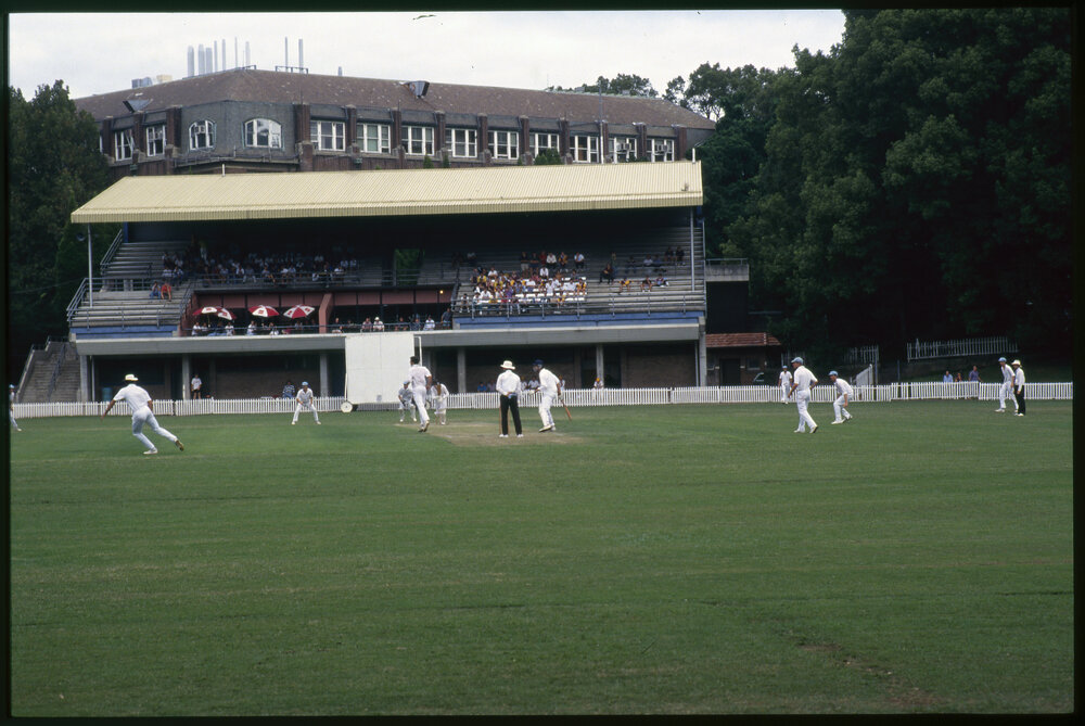 Cricket Match
