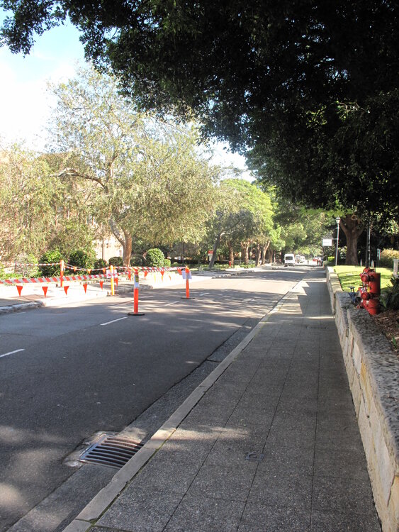 Science Road Looking West Towards Veterinary Science Building