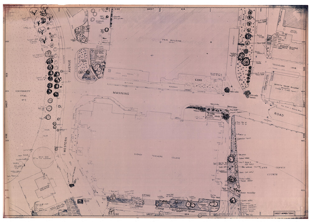 University Gardens - Sheet 466_504c