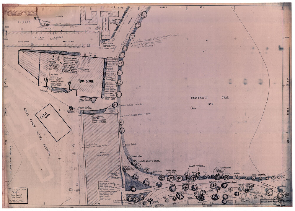 University Gardens - Sheet 466_503c