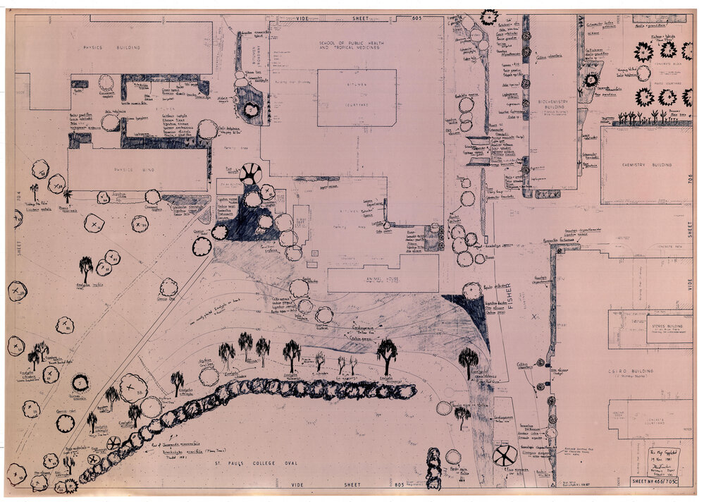 University Gardens - Sheet 466_705c