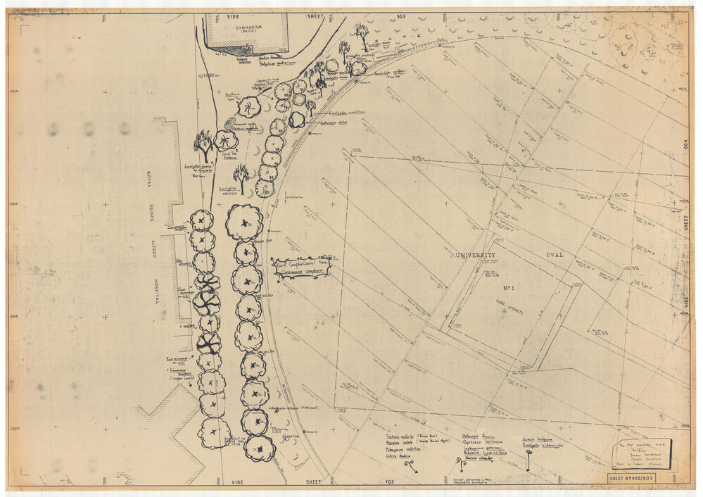 University Gardens - Sheet 466_603