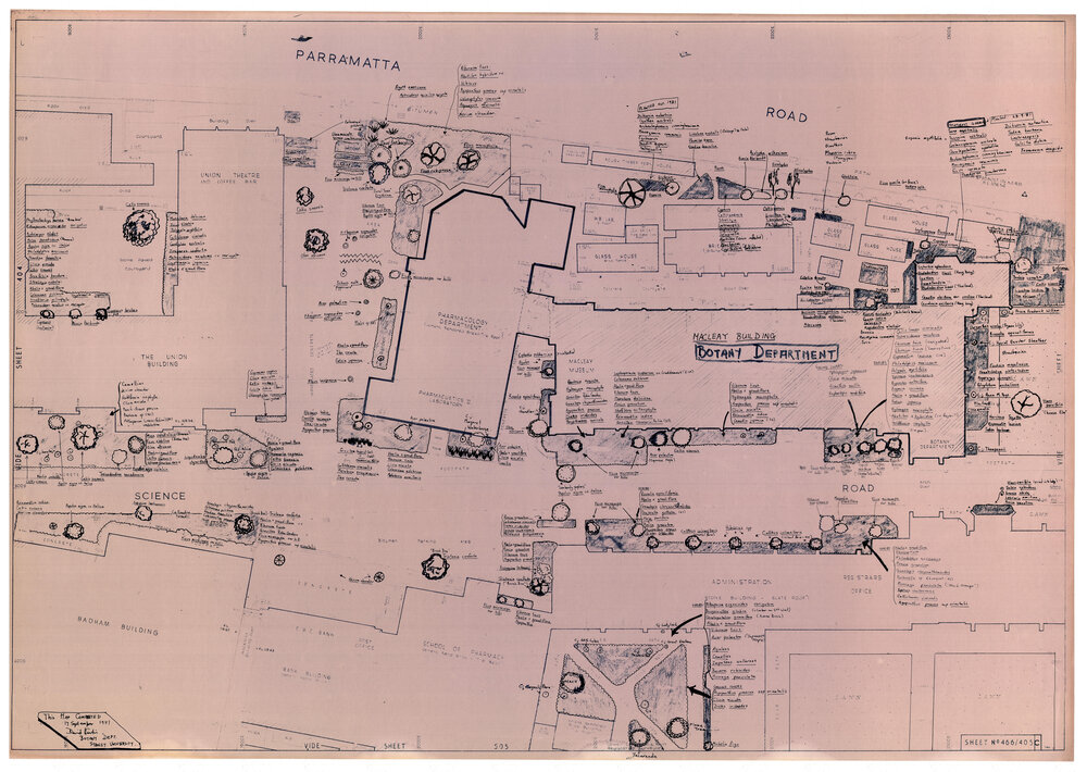 University Gardens - Sheet 466_405c