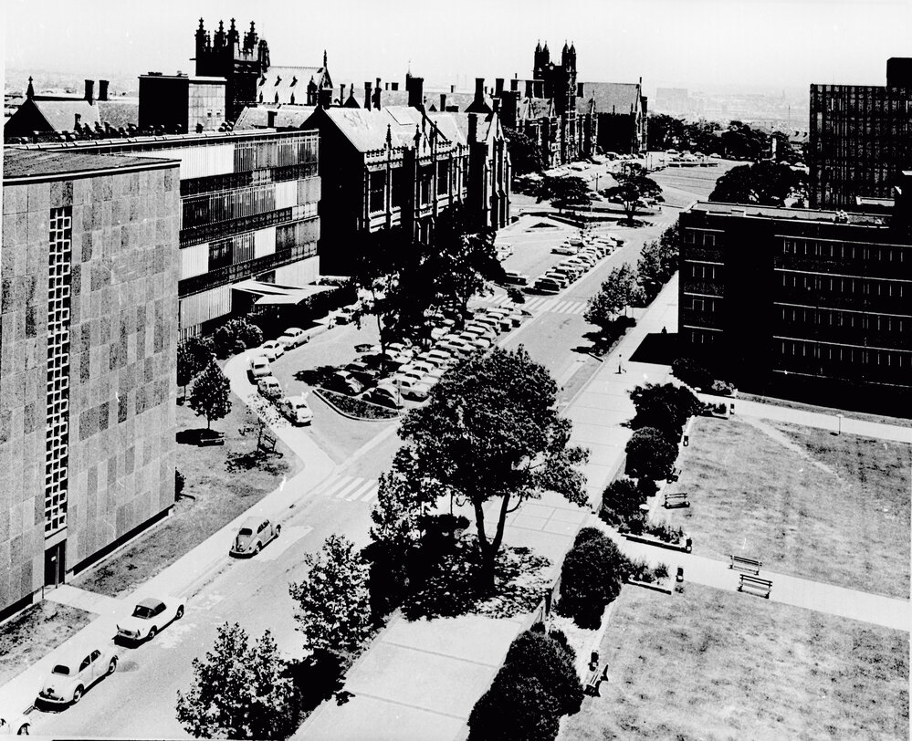 Eastern Avenue North West From Carslaw Building 2