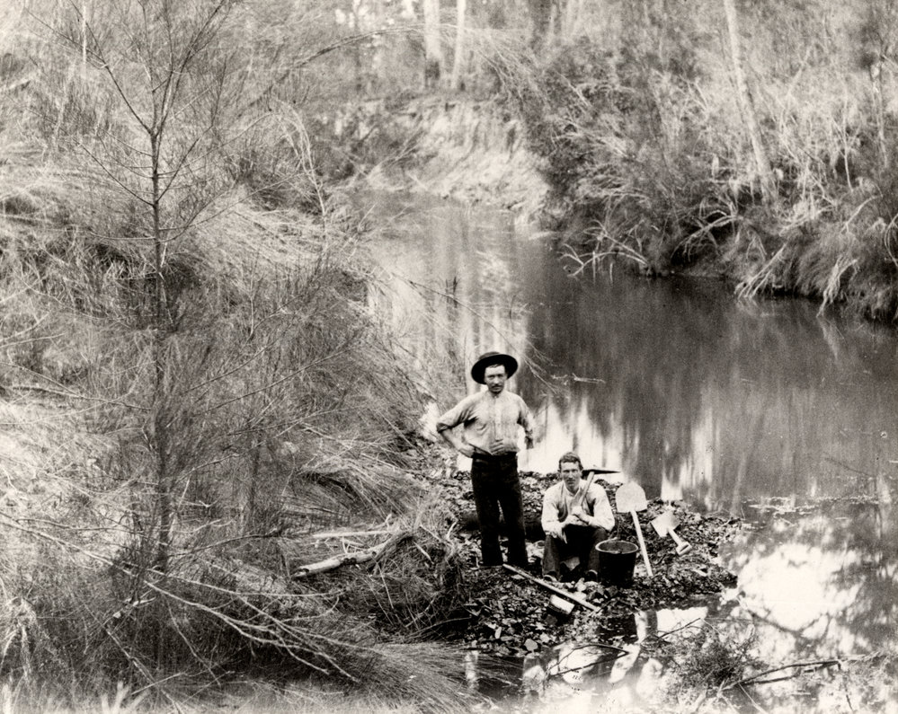 Professor Edgeworth David at the Site of the Discovery of the Greta Coal Seam