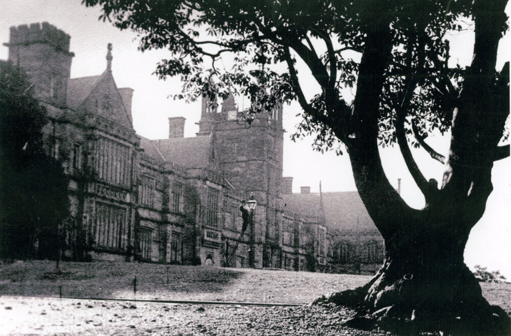 The Lamplighter at the Front of the Main Building Taken Late Afternoon 