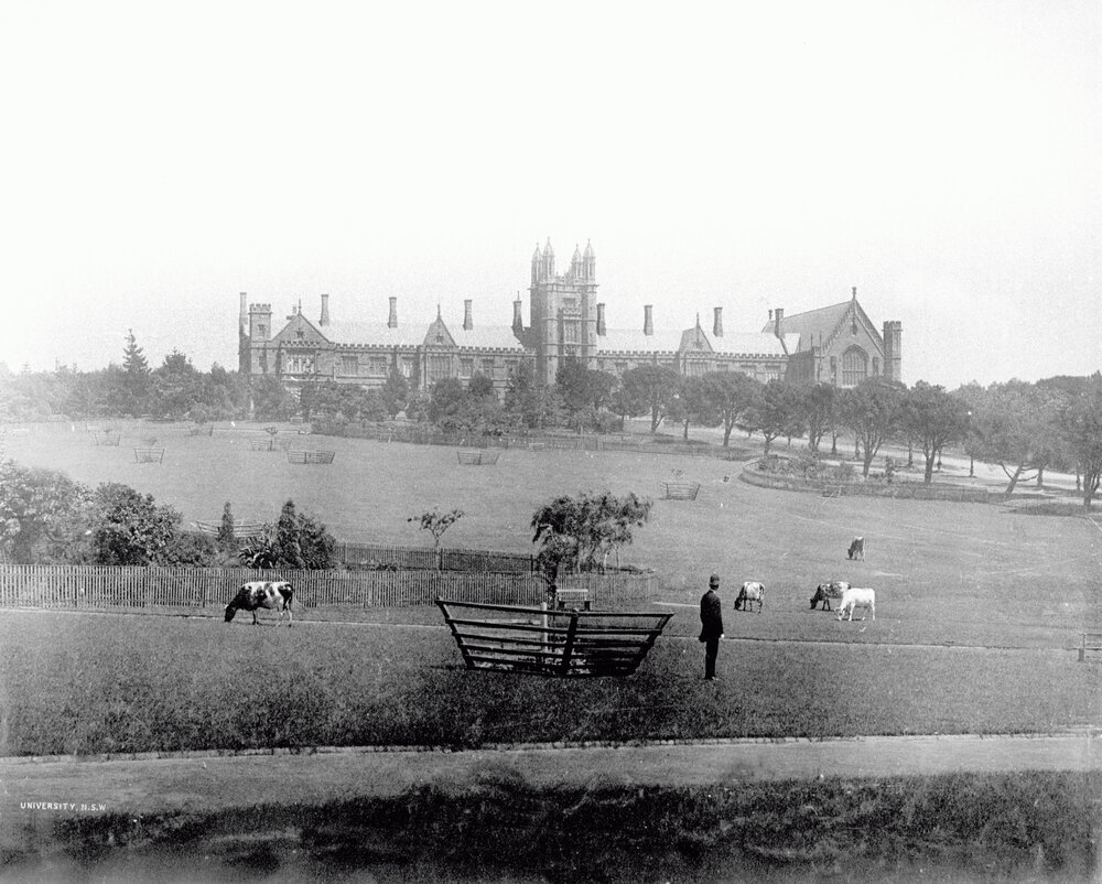 View of Grounds and Front of Main Building with Cows in Foreground