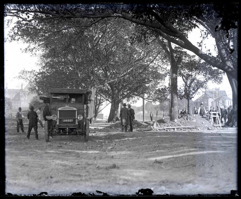 Removal of Trees from Victoria Park by Sydney Municipal Council
