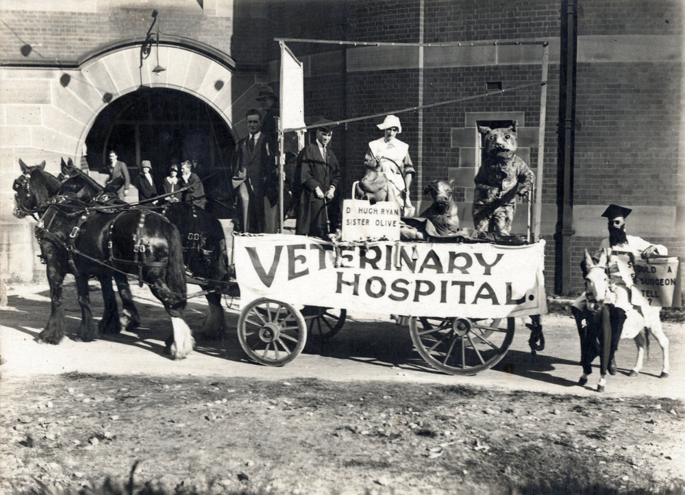 Commem Day Float for Veterinary Hospital
